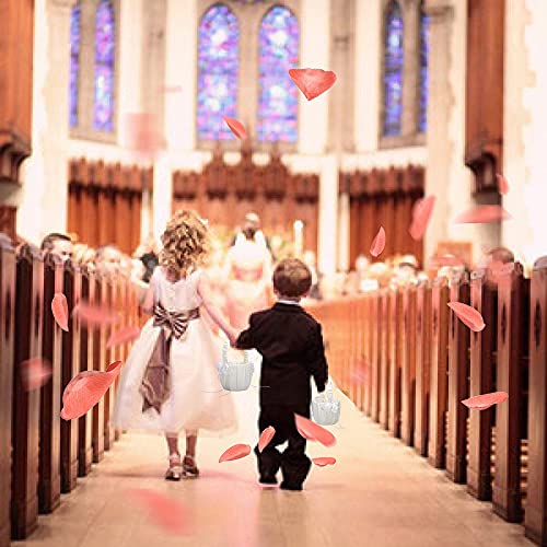 2pcs Wedding Flower Girl Basket Flower Basket for Wedding Ceremony Decor Wedding Party Decoration