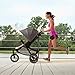 Evenflo Folio3 Stroll & Jog Travel System w/LiteMax 35 Infant Car Seat, Crossover Versatility, Ultra-Compact, Self-Standing Folding Design, 12” Air-Filled Tires, Front Wheel Swivel Lock, Avenue Gray