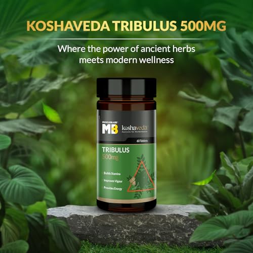 Image of MuscleBlaze Koshaveda Tribulus 500mg (60 Tablets) | Ayurveda for Performance