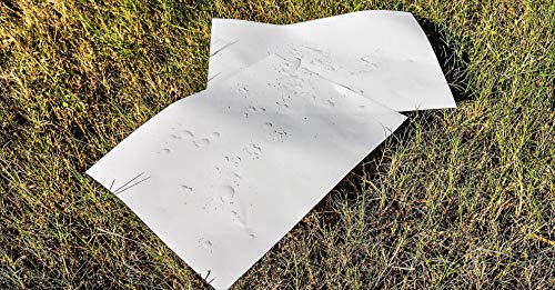 Papier de pierre imperméable Atlaua A4 idéal pour vos notes outdoor - 4