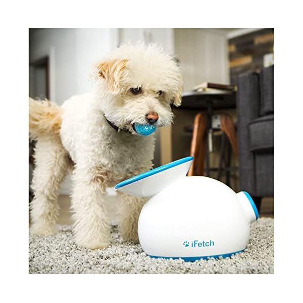 Interactive Ball Launchers for Dogs