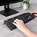 BOOMIBOO Clear Acrylic Tilted Computer Keyboard Holder for Ergonomic Typing, Keyboard Stand with Silicone Anti-Slip Strip, 17 x 5.7 Inch Keyboard Tray for Office Desk, Home, School