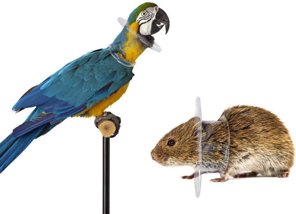 Schildeng Bird Protective Bead Pet Cone, Parrot Collar Anti Feather Picking Ring Anti-Plucking Anti-Grab Collars Elizabethan Collar for Rodents & Birds