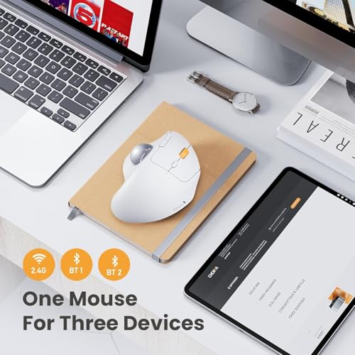 Image of ProtoArc Wireless Trackball Mouse, EM04 Ergonomic Bluetooth Rollerball Mouse Rechargeable Computer Laptop Mouse Thumb Control Mice, Compatible with PC, iPad, Mac, Windows-White Mouse Ash Grey Ball
