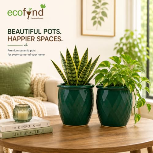 Image of ecofynd 4 Inch Ceramic Plant Pots with Drainage Hole, Modern Decorative Clay Flower Pots for Indoor Plants, Home Garden Decor for Living Room, Bedroom & Interior Spaces (Pack of 2, CPOT043-DGN)