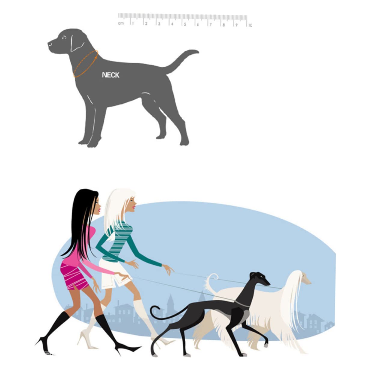 Housoutil 3pezzi Collare Per Cani Di Cattlehide Colore Caffè Design Per Protezione Del Collo Resistente e Stile Per Cani Con Collo Sottile