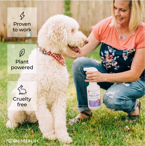 Image of Wondercide - Flea, Tick & Mosquito Spray for Dogs, Cats, and Home - Flea and Tick Killer, Control, Prevention, Treatment - with Natural Essential Oils - Pet and Family Safe - Rosemary 4 oz