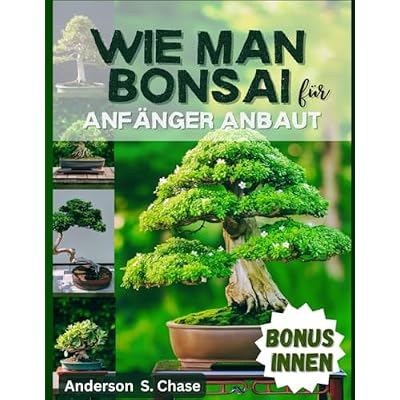 Wie man Bonsai f&uuml;r Anf&auml;nger Anbaut