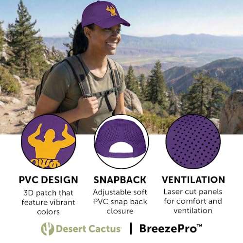 Gorra snapback Desert Cactus Omega Psi Phi miniatura 3