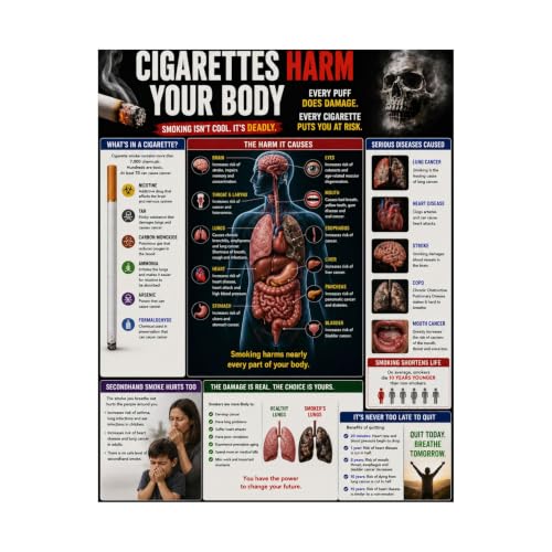 Cigarettes Harm Your Body Matte Poster Educational Anatomy Anti-Smoking Chart