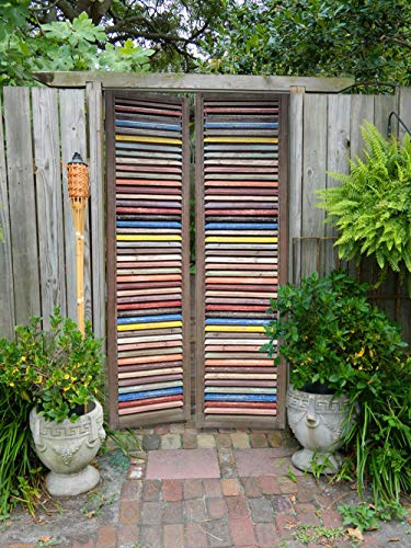 Screen Gems Multi-Colored Shutter - Thumbnail 5