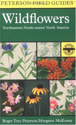 A Field Guide to Wildflowers: Northeastern and North-central North ...
