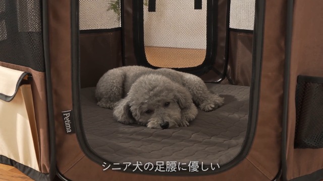 Amazon | ドッグトレーナー推薦 【老犬の為に開発】中敷マット付き