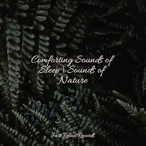 Amazon Music - Nature Sound CollectionのComforting Sounds of Sleep ...