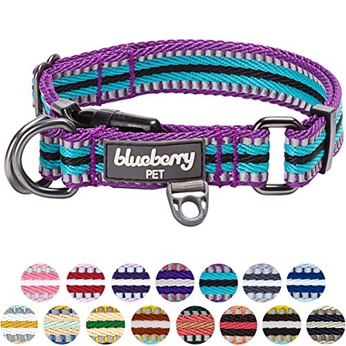 Blueberry Pet 1,5cm S 3M Reflektierendes Bunt Gestreiftes Violett und Himmelblaue Hundehalsband für Kleine Hunde