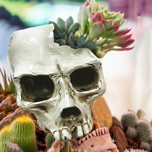【急上昇人気!】FLYGWIN ガラ空きドクロ小物入れ(ホワイト)卓上用 リアル頭蓋骨・骸骨デザイン かわいいインテリア プランタースタンド・植木鉢兼用 ハロウィングッズ 装飾雑貨 ガイコツ造型 収納機能(小物整理)耐久性プラスチック 置き場所自由