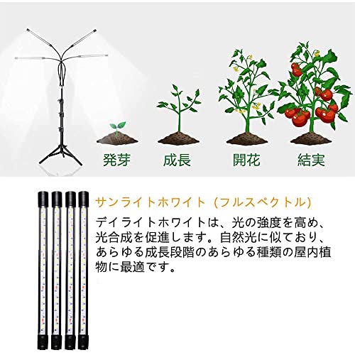 chaohuali LED植物育成ライト スタンド付き4ヘッドプラントライト 室内栽培照明用 60W 80LED 5500K の商品画像 1