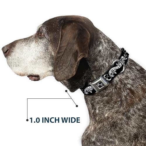 Collier pour chien boucle ceinture Buckle-Down pour protéger votre compagnon