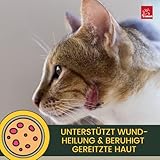 EMMA Lebertran-Zinksalbe für Hund, Katze & Pferd 250 ml – Zinkcreme bei Wunder Haut, Juckreiz & Mauke – wasserfeste Wund- & Pfotensalbe zur Hautpflege bei Ekzem & Liegeschwielen