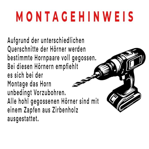 Afrikanischer Wasserbüffel 43cm - naturgetreue Kunsthörner von Motes Masken, handgefertigt, robust & leicht – Ideal für Krampus, Perchten, Partys & Themenveranstaltungen und Deko (afrik.WB1)