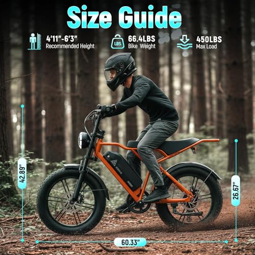 Image of TS TST GRP LLC Electric Bike for Adults, 1500W Peak Motor Ebike, 20 inch x 4.0 inch Fat Tire E Bike, 48V 15Ah Removable Battery, Dual Suspension, Disc Brakes, LCD & APP Control, for Commuting Off-Road