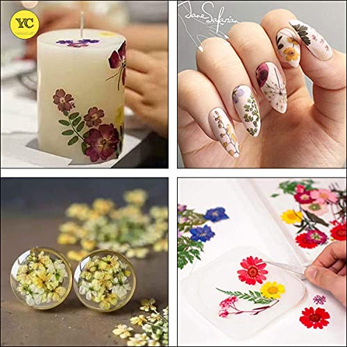 Image of YellowCult Natural Real Dried & Pressed Flowers for Art Craft - Mixed, Multicolor for Soap, Candle, Scrapbooking, DIY, Resin Jewelry, Pendant - [Luxury White 18x13 cm Sheets]