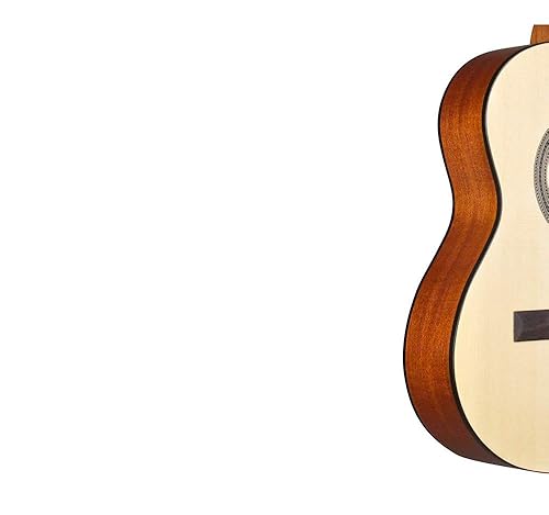 Amazon.com: Cordoba C1M 1/4 Small Body Acoustic Nylon String Amazon.com: Cordoba C1M 1/4 Small Body Acoustic Nylon String