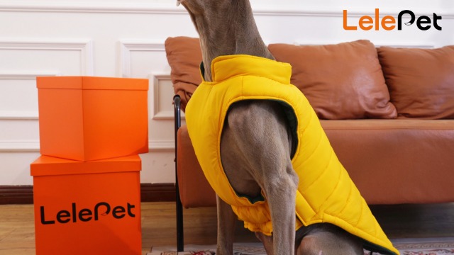 ジャケット・アウター kelen 22aw REVERSIBLE FIELD COAT Reversible Field Coat for Dogs