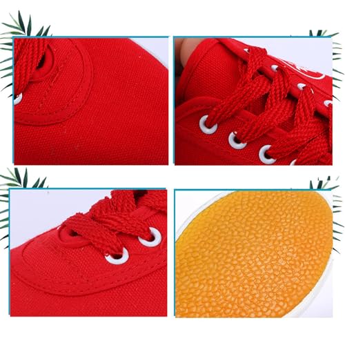 Kung fu Shoes Taekwondo Shoes Unisex Martial Arts Shoes Boxing Karate Tai chi Training Shoes Canvas Non Slip(Size:44EU,Color:B)2