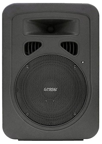 EARTHQUAKE Sound DJ-8M Powered 8-inch 2-Way Monitor/PA Speakers (Pair)