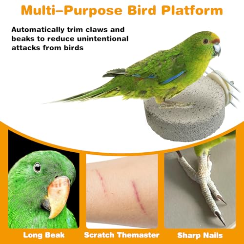 Image of PINVNBY 4 PCS Bird Perches Calcium Parrot Perch Stand Bird Beak Grinding Stone Foot Claws Trimmer Parrot Chewing Toys Bird Cage Accessories for Budgie Cockatiel Conure Lovebird Finch