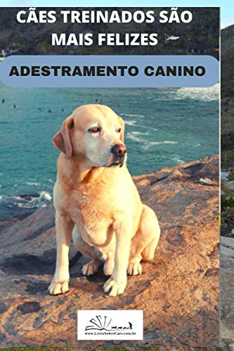 Adestramento Canino: 1