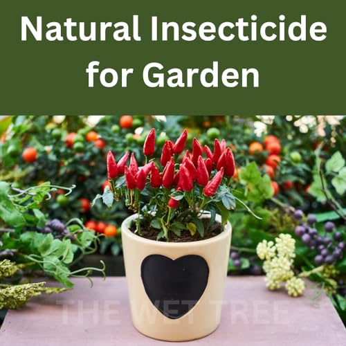 Image of Diatomaceous Earth Powder | 100% Organic Pest Control for Home Garden | Bed Bugs, Cockroach Killer & Ant Repellent for Home | Flea Control for Dogs & Other Pet Animals (1.8)