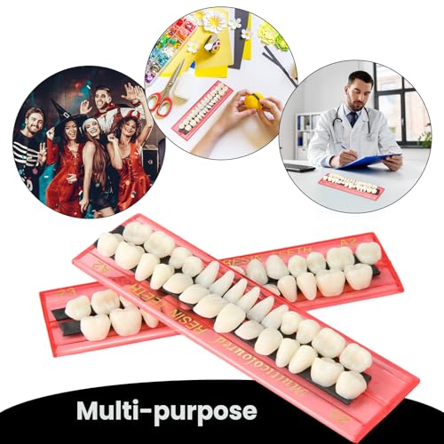 Image of Nuanchu 560 Pcs False Teeth Acrylic Resin, 20 Set A2 Shade Denture Teeth Replacement Kit Solid Synthetic Polymer Fake Tooth for Halloween Horror Props DIY Costume Dental Teaching Model