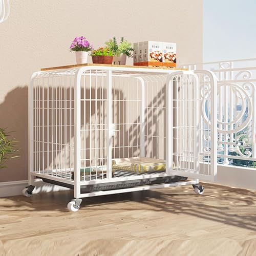 Cage de transport pour chien avec verrou anti-fuite et plateau amovible