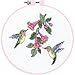 Dimensions - Counted Cross Stitch Kit - Hummingbird Duo - 72407 - Arts and Crafts for Adults - 14 Count Aida - 6 inch