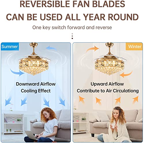 Image of oltao Ember Smart Chandelier Ceiling Fan with BLDC Motor, Dimmable 3 Colour LED Light, Alexa & Google Home Compatible, Remote & App Control
