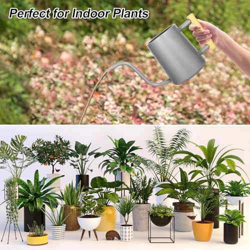 Image of Watering Can Indoor Plants, 35 oz /1000 ml Metal Stainless Steel Watering Can Pot with Long Spout for Indoor House Plants Bonsai Outdoor Garden Flower Decorative (Gray)