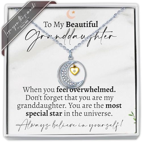 Love You to The Moon and Back Granddaughter .925 Sterling Silver Necklace, Adjustable Chain 16-19", Sentimental Gifts4