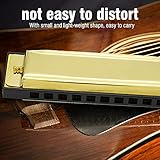 SPYMINNPOO Leichte und Kompakte Mundharmonika, Melodiöser Klang, 10-Loch-Instrument für Musikbegeisterte, Gold/Silber (GOLD)