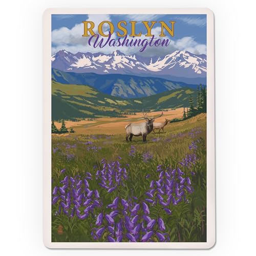 Lantern Press Roslyn Washington Baraja Poker 52 cartas miniatura 3
