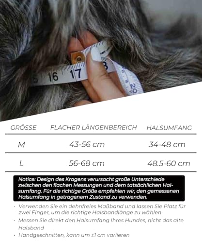 Hundehalsband für Große Hunde - 5 cm Breites Halsband mit Griff für Extragroße Hunderassen, schwarz, Weich Gepolstertes Neopren Nylon Hunde Halsband für Grosse Hunde Big Dog Collar 56-66cm