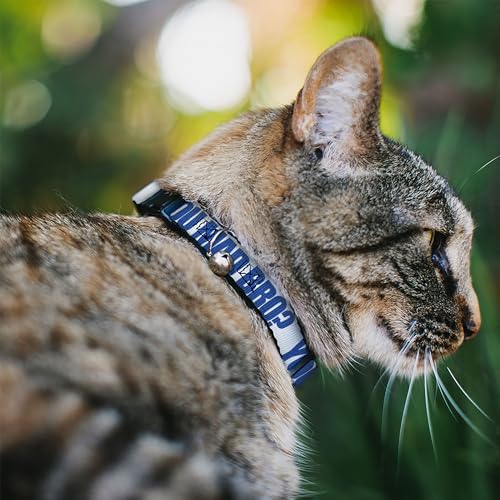 Collar para gato ajustable con hebilla de seguridad nylon 1.27 cm 3
