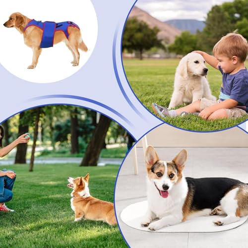 Férula de cadera para perros ideal para paseos nocturnos seguros 5