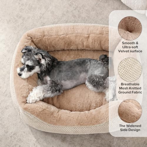 Image of Dog Bed Medium Size, Orthopedic Warming Soft Calming Sleeping Durable with Anti-Slip Bottom