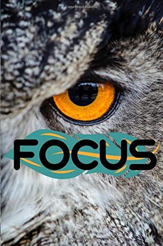 notebook: focus on your dream/ owl eye/ journal, notebook,diary: blank lined, 120 pages, 6"x9" / gift for friends