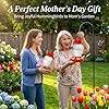 Fchstaer Glass Hummingbird Feeders for Outdoors Hanging 16oz 2 Pack Clear Pineapple Bee & Ant Proof 360°Perch Leakproof Easy Clean with 6 Feeding Ports Gifts for Mom #2