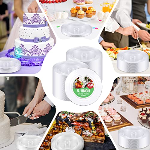 Zopeal 250 Pcs Small Clear Plastic Plates 5 Inch Dessert Appetizer Cake Disposable Plates Heavy Duty Wedding Party Plates For Bbq Travel Events Buffet Hotel Shop Picnic #TOP6