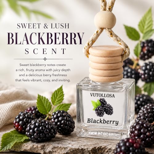 Image of Car Air Freshener Hanging Blackberry 2 Pack,Essential Oils Diffuser Car Scents Decor Air Freshener,Long-Lasting Cute Car Accessories for Women & Men