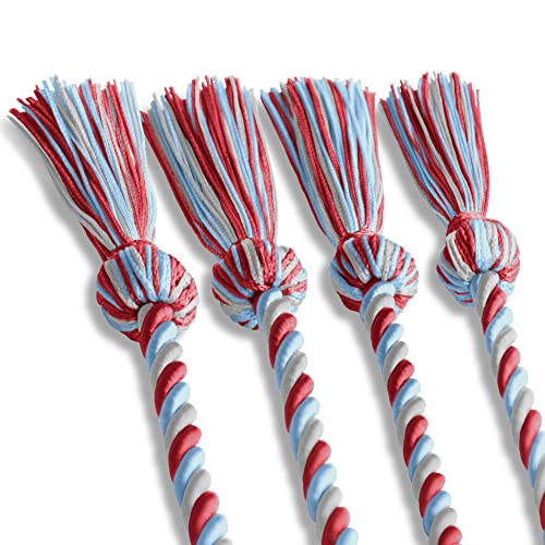 Image of Endea Graduation Double Honor Cord Three-Color (Red /Light Blue /White)